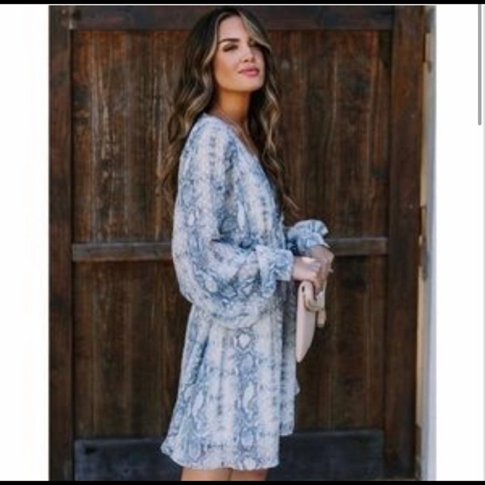 Vici Hiss-Terical Blue Snake Print Dress